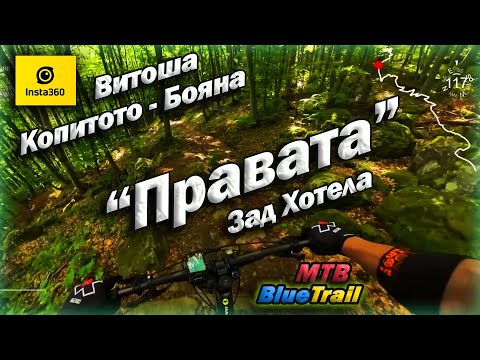 Видео: Витоша | Пътеката зад хотела - "Правата"🚵‍♀️ | Below the hotel Blue Trail Kopitoto (Vitosha)