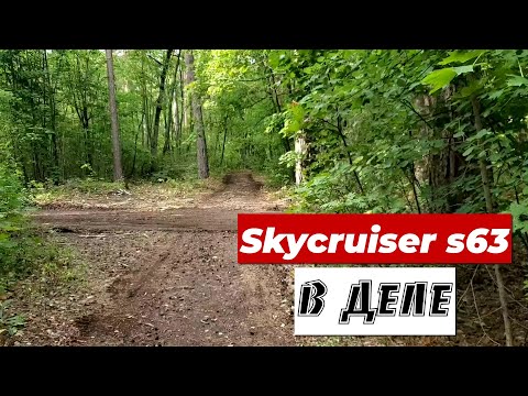 Видео: КОП в ЛЕСУ с металлоискателем Skycruiser s63.