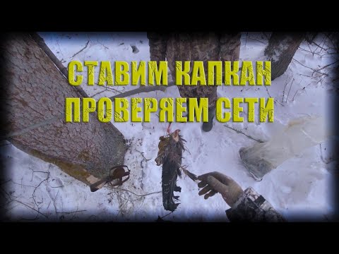 Видео: Делаем подвесы на капканы проверяем сети