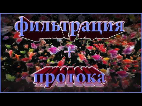 Видео: фильтрация + протока или как добиться запредельной плотности посадки!