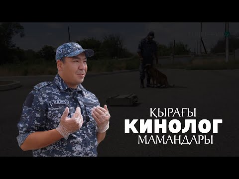 Видео: Адал адам – Адал еңбек | Қырағы кинолог мамандары