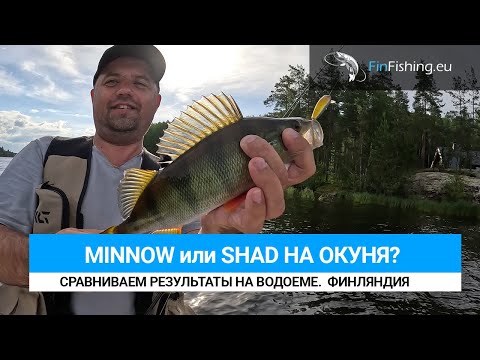 Видео: Ловим на разные типы воблеров: Shad и Minnow. Pontoon21 vs Kosadaka