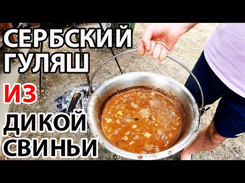 Видео: СЕРБСКИЙ ГУЛЯШ ИЗ ДИКОЙ СВИНЬИ! ОХОТНИЧИЙ РЕЦЕПТ В КАЗАНЕ НА ОГНЕ!!! НАСТОЯЩАЯ БАЛКАНСКАЯ КУХНЯ!!!