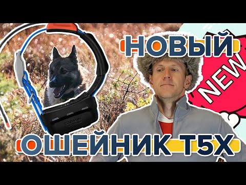 Видео: Вышел новый ошейник Garmin T5x  Доступен к заказу!