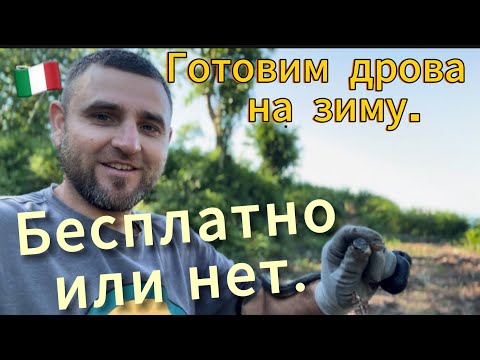 Видео: Подготовка дров на зиму. Реальная жизнь в итальянском селе.
