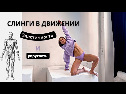Видео: Слинги в движении тренировка. Глубинная фронтальная линия. Работа с фасцией. Art of motion