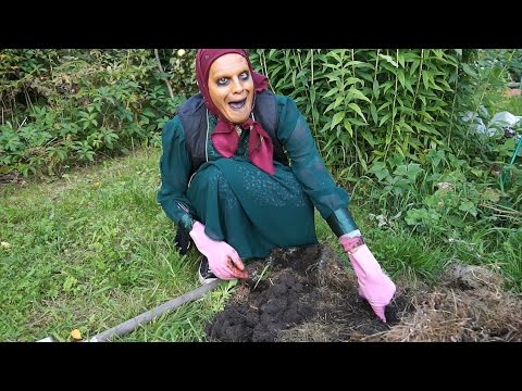 Видео: Старуха Изергиль в выпуске "Наш сАд" - За Лупой (6)