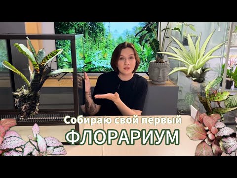 Видео: Сборка флорариума | ABG mix | фитоглина | посадка растений