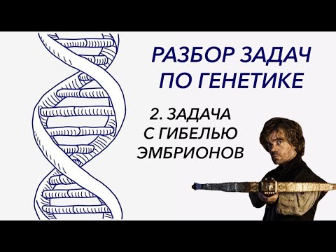 Видео: Разбор решения задачи на дигибридное скрещивание. Задача с гибелью эмбрионов. ЦТ, ЕГЭ, ЗНО