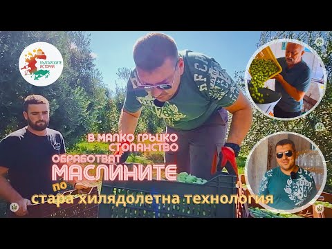 Видео: Oливки и оливковое масло, произведенные без ядовитого Е501, по технологии, которой почти 1000 лет