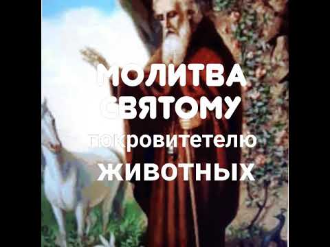 Видео: Молитва Святому покровитетелю животных, Власию.