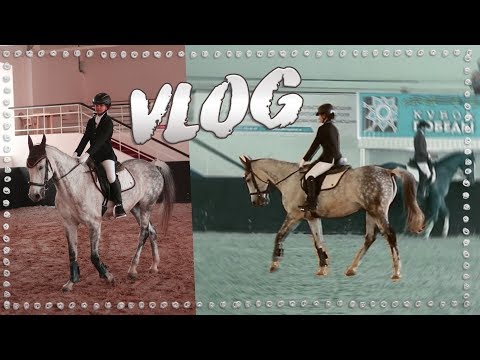 Видео: VLOG: Соревнования по выездке | Терский конный завод