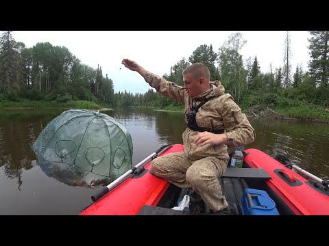 Видео: ЛОВИМ ЗДОРОВЕННЫХ РАКОВ на ТАЁЖНОЙ РЕЧКЕ! ВОТ ЭТО ГИГАНТЫ. ПРОВЕРКА РАКОЛОВОК.