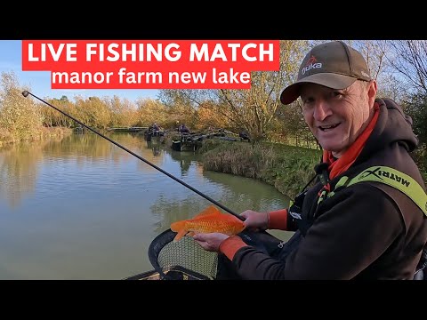 Видео: Рыболовная приманка Match Manor Farm Swilland IP6 9LB, #matchfishinguk