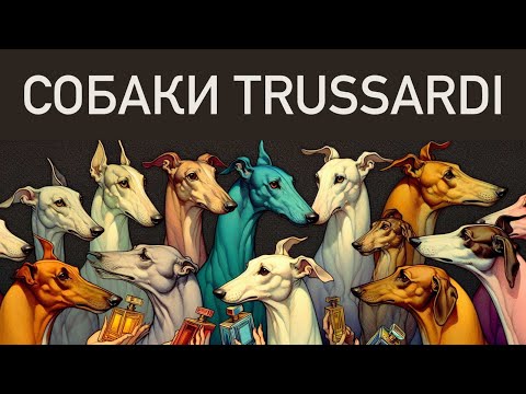 Видео: СОБАКИ TRUSSARDI. Обзор аромабокса Рандеву с ароматами бутиковой линейки.