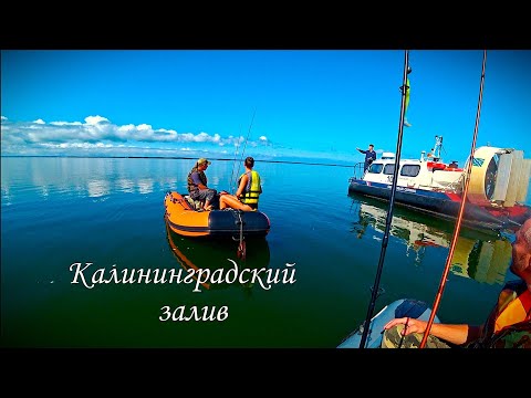 Видео: Провожаем лето на рыбалке с ночёвкой. Калининградский залив.