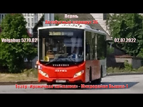 Видео: Пермь | Автобус 36 | Volgabus 5270.02 | Театр "Ироничная компания" - М/р Вышка-1 | 12.07.2022
