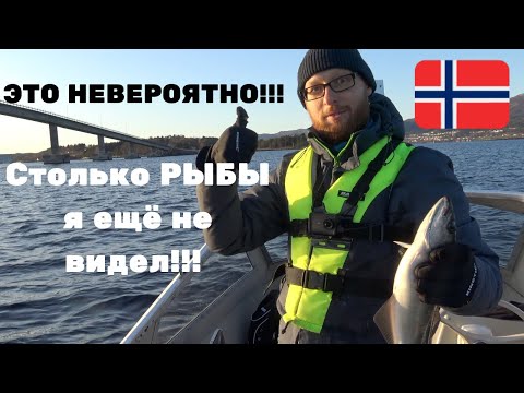 Видео: ЭТО НЕВЕРОЯТНО!!!! РЫБА ЗАПРЫГИВАЕТ В ЛОДКУ!!! СУПЕР РЫБАЛКА! Рыбалка в Норвегии! Лучшая Рыбалка!