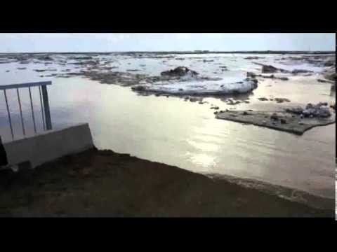 Видео: Патоп Баршын