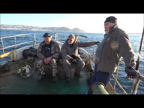 Видео: рыбалка баренц22 2