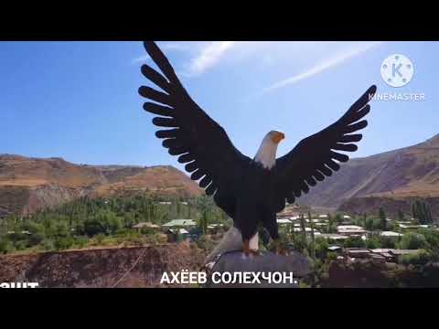 Видео: н. Рашт Fарм 18,09,2024.