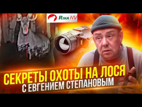 Видео: Охота на лося на реву с Евгением Степановым! Как правильно охотиться?