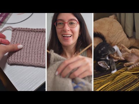 Видео: Новая Прежа, Новые КОТЫ, Свиданки и Суматоха