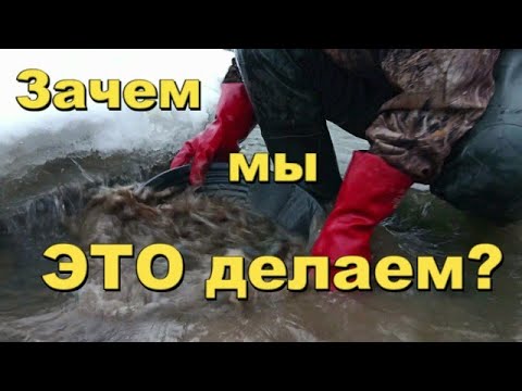 Видео: Зима. Лоток. Золото есть!