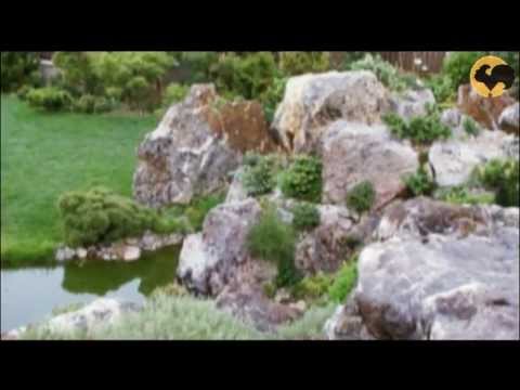 Видео: Каменистый садик в саду Ландшафтные хитрости 70