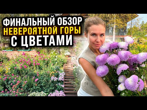 Видео: НЕВЕРОЯТНАЯ ГОРА С ЦВЕТАМИ СОЗДАННАЯ С НУЛЯ ЗА 1 СЕЗОН | ФИНАЛЬНЫЙ ОБЗОР