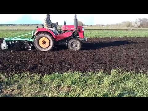 Видео: Шифенг 354 з дисковою бороною ( Bomet ). Задисковуємо овес 🌾