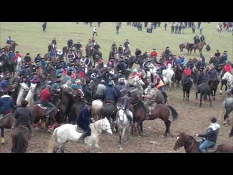 Видео: ОҚО, Шардара ауданы, Зауірбек ағамыздың ас көкпары 17