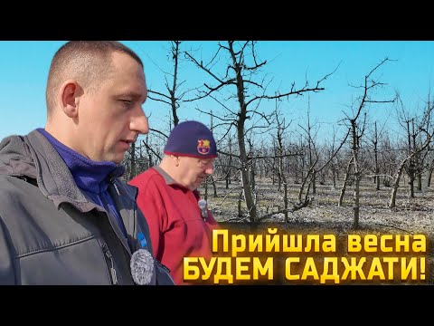 Видео: 🇺🇦Весна прийшла - ГОТУЄМОСЬ САДЖАТИ! Подорож по яблуневий сад! Де взяти шикарні саджанці