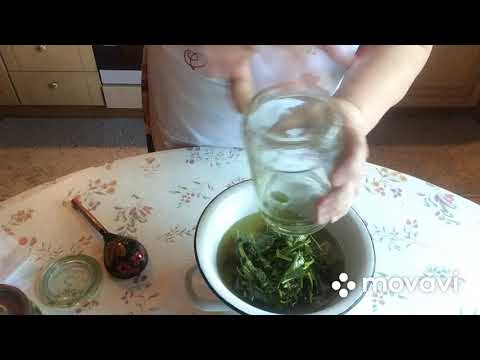 Видео: Чудо- мазь из чистотела