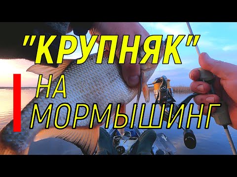 Видео: Крупняк на мормышинг.Как поймать?!#fishing #рыбалка