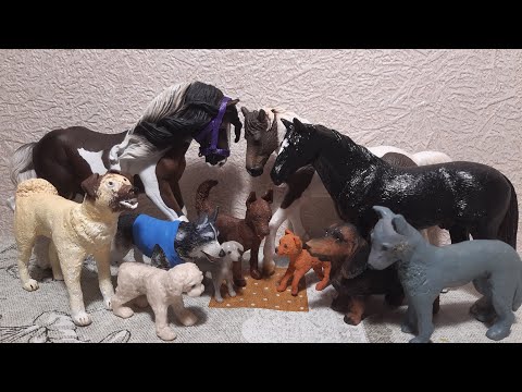 Видео: Обзор на самолепы и перекрасы лошадей и собак.