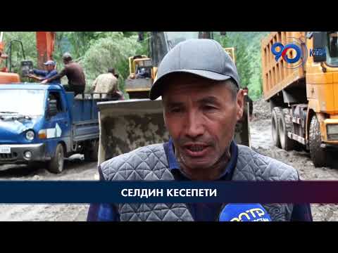 Видео: Өзгөндүн Кош-Этер айылында кыян жүрүп, 10 үй жабыркады