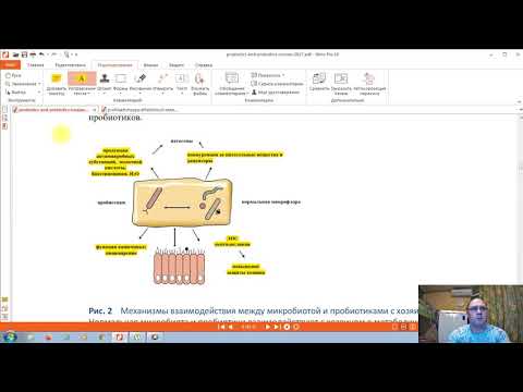 Видео: Разоблачение мифов и легенд. Миф №8 - Пробиотики / пребиотики.