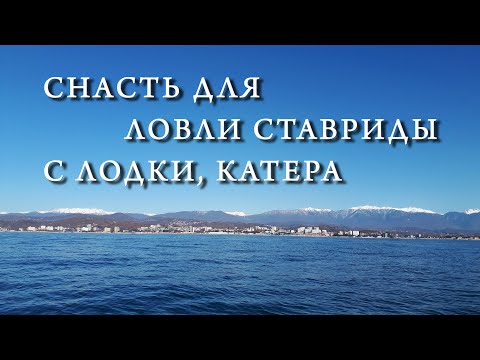 Видео: "СТАВКА" Снасть для ловли ставриды с катера