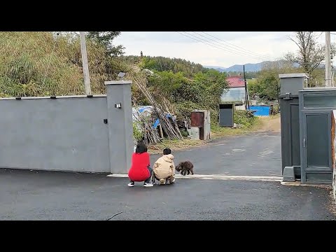 Видео: Зайди внутрь, и я тебя приму!