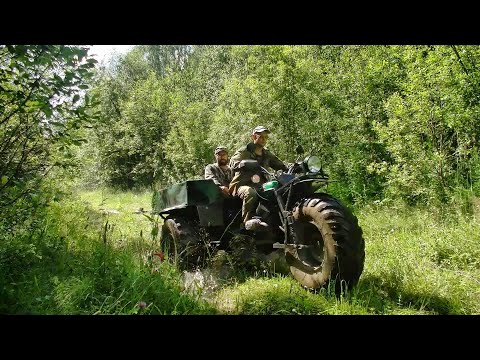Видео: За грибами и не только... #438