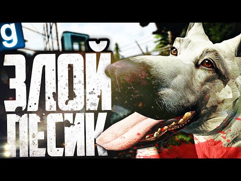 Видео: ИГРАЮ ЗА SCP-1111! ОЧЕНЬ ЗЛОЙ ПЕСИК! ► Garry's Mod [Гаррис Мод] - SCP RP [СЦП РП]