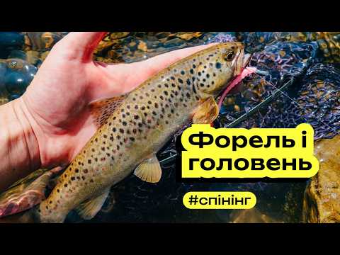 Видео: Ловля на воблери Masu Masters і сілікон. Форель і головень.