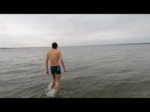 Видео: Если вода не покрылась льдом значит купальный сезон ещё открыт