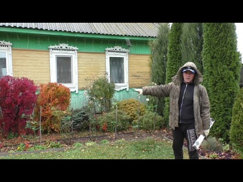 Видео: В деревне Беларуси. Нет ничего невозможного для нас...