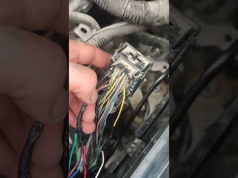 Видео: 5 августа 2025 г.