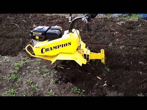 Видео: Первый раз культивирую мотоблоком Champion BC 8813.