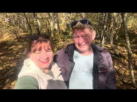 Видео: НАШЛИ РЫЖИКИ НА НОВОМ МЕСТЕ😍👍