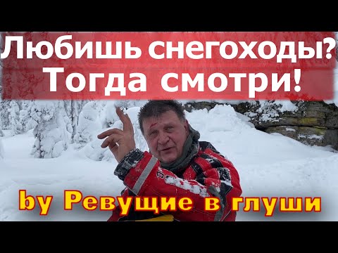 Видео: Любишь снегоходы? Тогда смотри! Почему я поехал в Бедярыш!