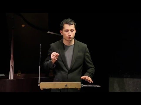 Видео: Терменвокс-концерт в «Петровском»